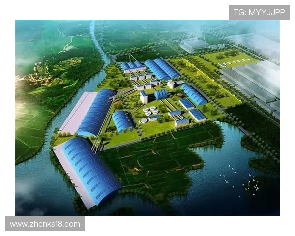 K8凯发中文站积极响应国家政策,推动绿色健康博彩环境的建设 K8凯发中文站积极响应国家政策,推动绿色健康博彩环境的建设