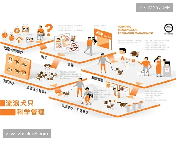 凯发K8娱乐官网入口：常见登录问题解决方案与安全保障措施