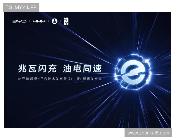 凯发一触即发官方网站安全登录技巧保障账号信息安全的实用方法